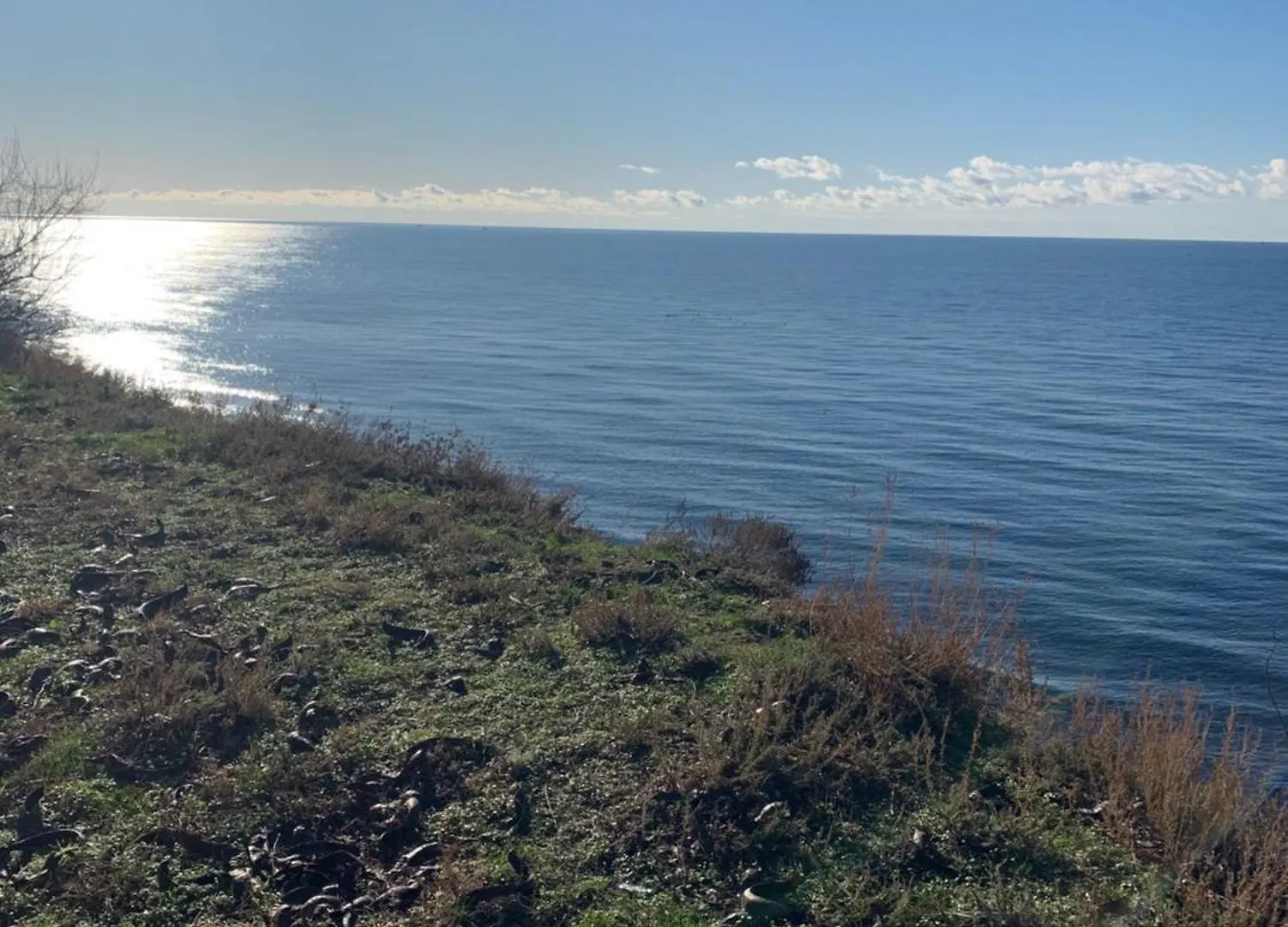 Orbi City Comfort 2 Rooms Apartments 50 М By Sea Batumi Georgia